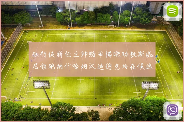 独行侠新任主帅赔率揭晓助教斯威尼领跑纳什哈姆汉迪德克均在候选之中